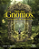 Livro Tarô dos gnomos - Imagem 1