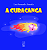 Livro A Curacanga - Imagem 1
