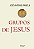 Livro Grupos de Jesus - Imagem 1