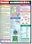 Livro Microbiologia - Imagem 1