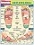 Livro Reflexologia - Imagem 1