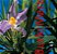 Livro Burle Marx: jardins e ecologia - Imagem 1