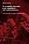 Livro O trabalho docente e os caminhos do conhecimento: a... - Imagem 1