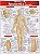 Livro Anatomia de superfície - Imagem 1