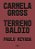 Livro Terreno Baldio - Imagem 1