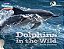 Dolphins In The Wild - 3 Explorers - Imagem 1