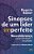 Sinapses De Um Líder Imperfeito - Neuroliderança, Vulnerabilidade E Resultados - Imagem 1