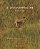 Livro A instrumentalina - Imagem 1