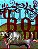 Livro O Menino E O Boi Do Menino - Imagem 1