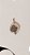 Colar Relicário I Love You To The Moon and Back - Imagem 3