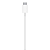 Carregador MagSafe Turbo - Imagem 3