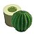 Molde de Silicone Cacto Bola - Imagem 1