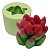 Molde de Silicone Suculenta Elegantis - Imagem 1