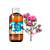 Essência Aromática Concentrada Hidrossolúvel (Água) de Verbena - Imagem 1