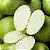 Essência Aromática Concentrada Lipossolúvel (Óleo) de Maçã Verde - Imagem 2