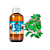 Essência Aromática Concentrada Lipossolúvel (Óleo) de Sândalo - Imagem 1