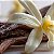 Essência Aromática Concentrada Lipossolúvel (Óleo) de Vanilla - Imagem 2
