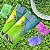 Kit 10- Bases Glicerinadas Para Saboaria Nossa Terra (Escolha sua cor) - Imagem 3