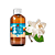Essência Aromática Concentrada Hidrossolúvel (Água) de Gardênia - Imagem 1