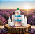Extrato Glicólico de Lavanda para Sabonetes e Cosméticos 1L e 100ml - Imagem 4