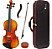 Violino Profissional Eagle Ve845 4/4 Verniz Brilhante - Imagem 1