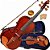 Violino Profissional Hofma 3/4 Envernizado Hve231 Envio 24h - Imagem 2