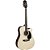 Kit Violão Giannini GDC1 NS Folk Aço + Capa + Alça + Cabo + Capotraste e Palhetas - Imagem 4