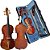 Violino Eagle VE441 Classic Series 4/4 - Imagem 4