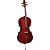 Violoncelo Eagle CE200 4/4 Cello Violoncello com Capa - Imagem 2