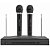 Kit Microfone karaokê 2 Microfones Sem Fio e Receptor - Imagem 1