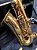 Saxophone Alto Profissional Waldman, Mi Bemol com Case e Acessórios, Molas Blue Steel Mod WSA GD/OL - Imagem 6