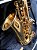 Saxophone Alto Profissional Waldman, Mi Bemol com Case e Acessórios, Molas Blue Steel Mod WSA GD/OL - Imagem 3