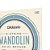 Encordoamento Bandolim 10-34 D Addario Bronze 80/20 EJ62 - Imagem 4