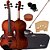 Violino Eagle Profissional 4/4 Envelhecido + Case Luxo Ve244 - Imagem 1