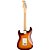 Guitarra Fender Stratocaster Plus Top Tobacco Burst - Imagem 2