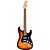 Guitarra Fender Stratocaster Plus Top Tobacco Burst - Imagem 1
