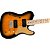 Guitarra Squier Telecaster Paranormal Cabronita Thinline - Imagem 4