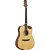 Violão Strinberg SD201HCR Eletroacústico Folk Natural Satin Com Bag - Imagem 1