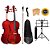 Kit Viola De Arco Eagle Va150 Com Case Extra Luxo - Imagem 1