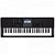 Kit Teclado Digital CASIO CT-X800 Preto TX01 - Imagem 2