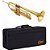 Trompete Laqueado Shelter Sft6418l C/ Case Envio Grátis B R - Imagem 1
