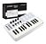 Teclado Waldman Controlador Midi Usb 25 Teclas Carbon 25mini - Imagem 2