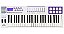 Teclado Controlador Profissional Midi Usb Carbon49 Waldman - Imagem 1