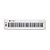 Controlador Midi USB 61 Teclas Branco Samson Carbon 61 - Imagem 3