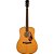Violão Eletroacústico Dreadnought Fender Paramount PD-220E Natural com Case - Imagem 2