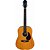 Violão Giannini Perform GDR Plus Eletroacústico Aço Natural Glossy - Imagem 1