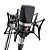 Microfone Neumann TLM 102 Studio Set Cardióide Preto - Imagem 2