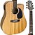 Violão Giannini Folk Aço GF1D Natural Zebra (ZW) + KIT4I - Imagem 2