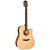 Violão Elétrico Hofma HMF-290 STNT Natural Aço - Imagem 2