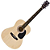 Violao Acustico Aco Gs 11 Nt Natural Harmonics - Imagem 1